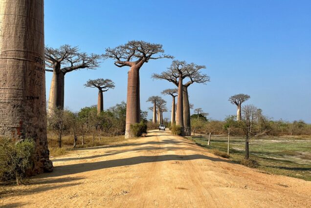 Morondava – Bekopaka – Tsingy di Bemaraha10gg09nt