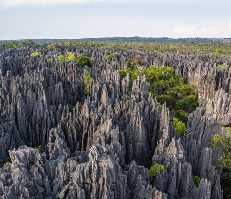 I Tsingy di Bemaraha
